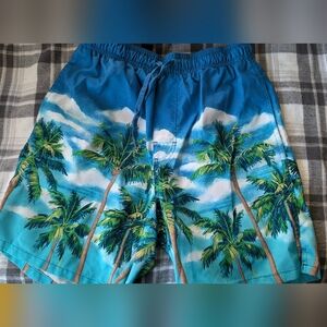 Swim Trunks